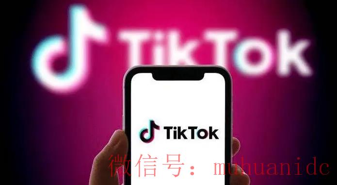 tiktok账号购买平台
