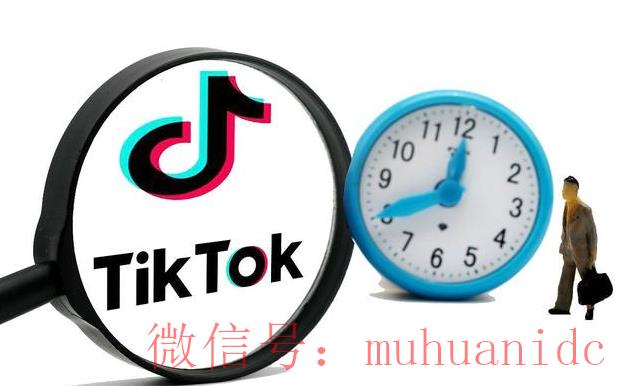 tiktok账号购买平台