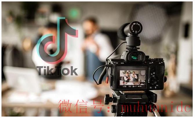 tiktok账号购买平台