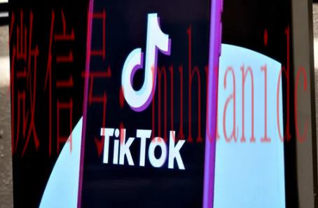 tiktok账号购买平台