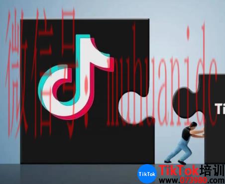 tiktok账号购买平台
