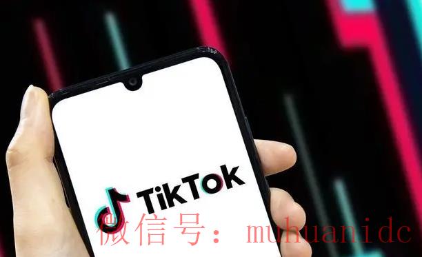 tiktok账号购买平台