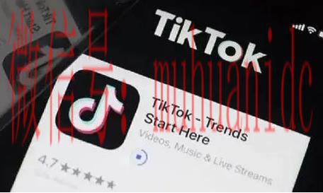 tiktok账号购买平台