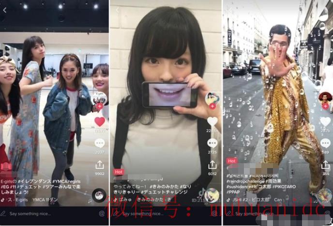 tiktok账号购买平台