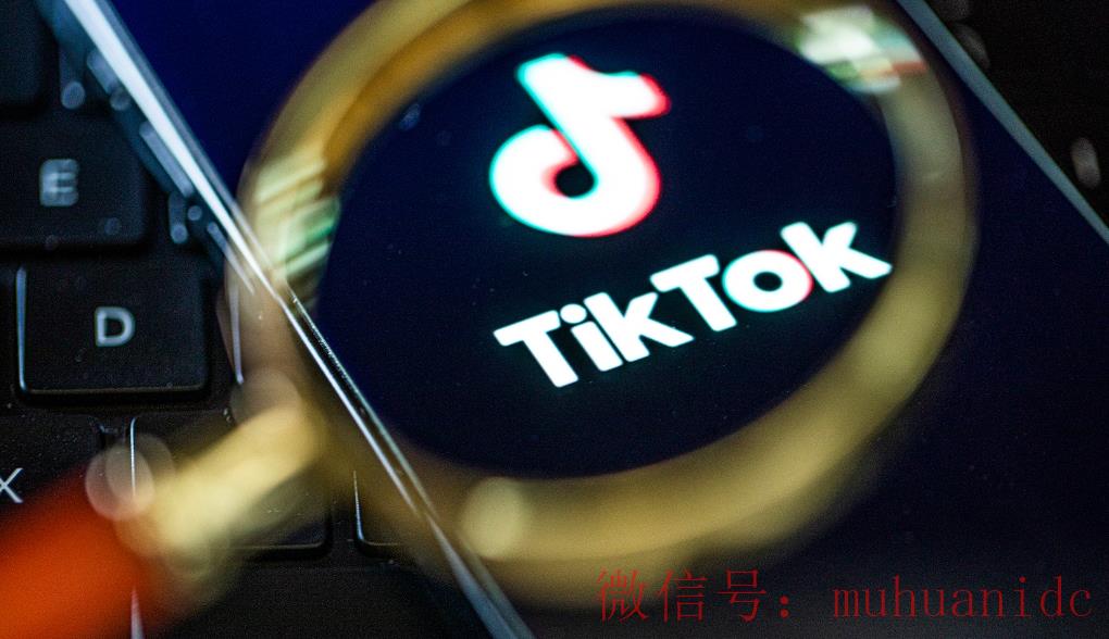 tiktok账号购买平台
