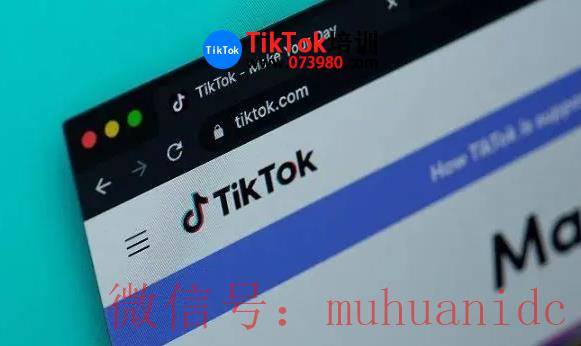 tiktok账号购买平台