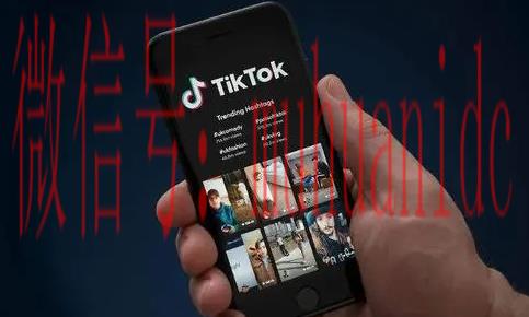 tiktok账号购买平台