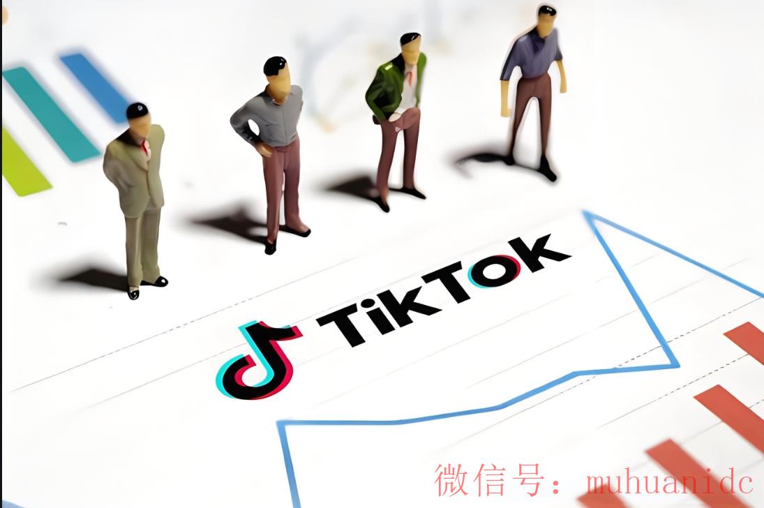 tiktok账号购买平台