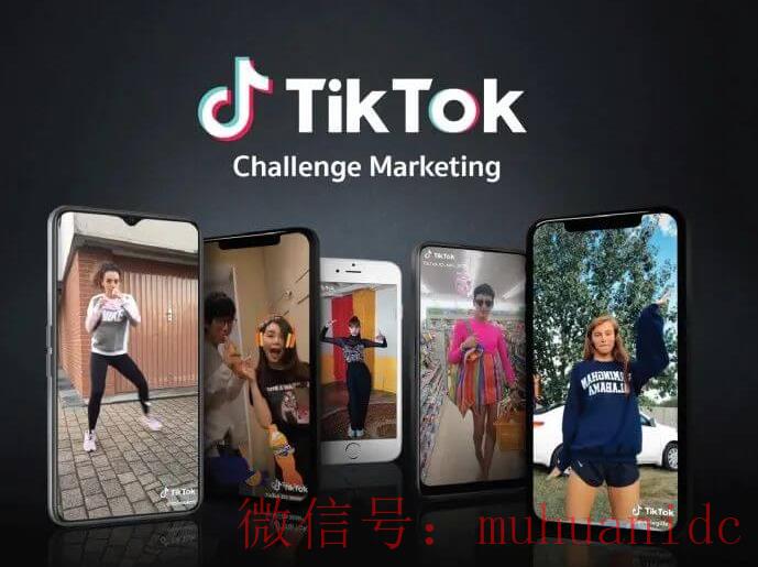 tiktok账号购买平台