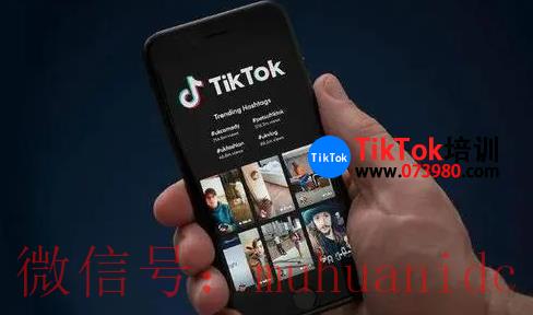 tiktok账号购买平台