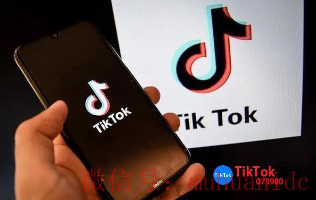 tiktok账号购买平台