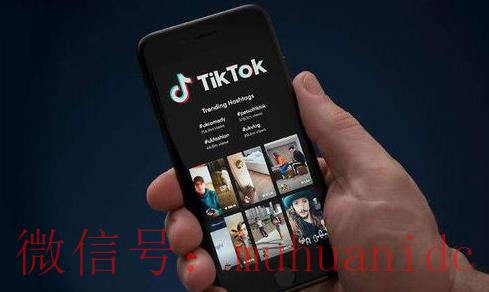 tiktok账号购买平台