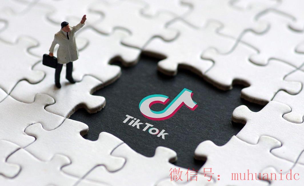 tiktok账号购买平台