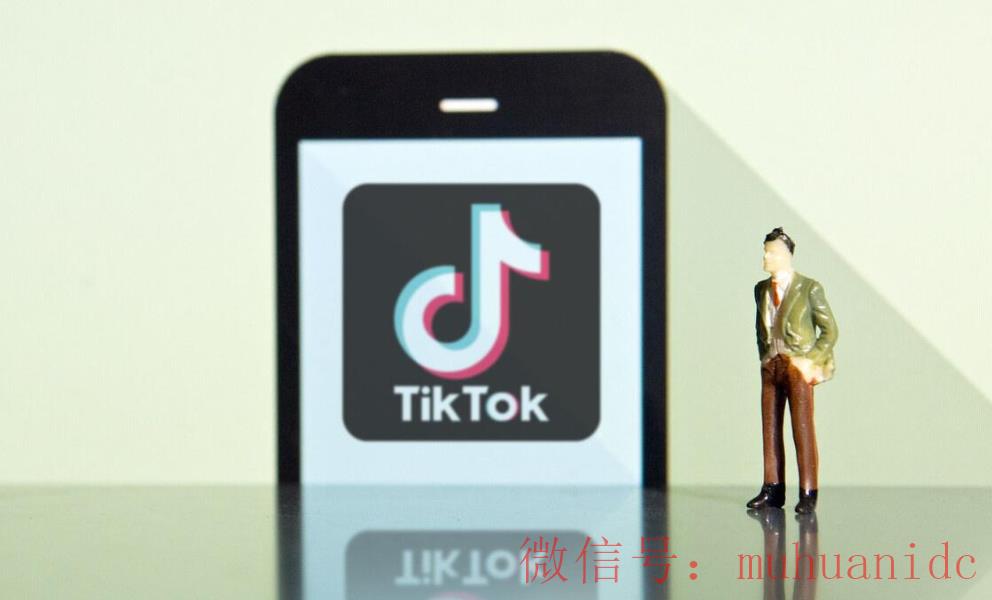 tiktok账号购买平台