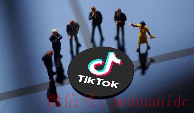 tiktok账号购买平台