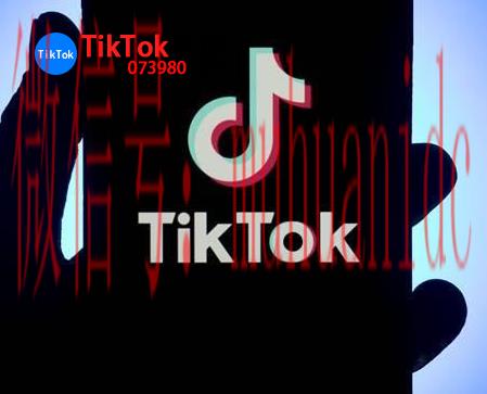 tiktok账号购买平台