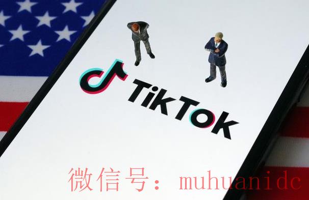 tiktok账号购买平台