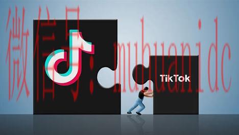tiktok账号购买平台