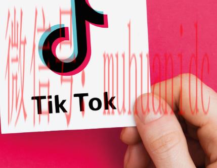 tiktok账号购买平台