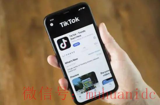 tiktok账号购买平台