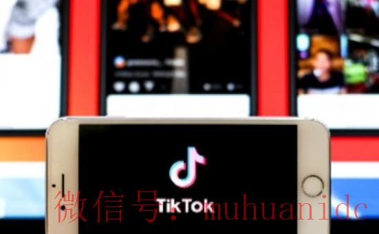 tiktok账号购买平台