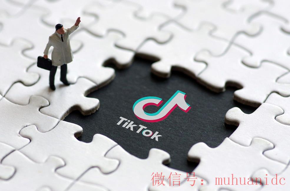tiktok账号购买平台