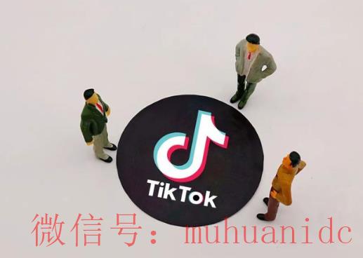 tiktok账号购买平台
