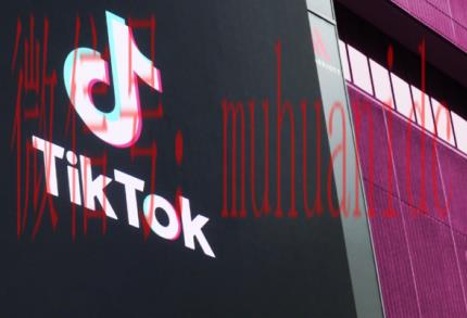 TikTok账号购买平台