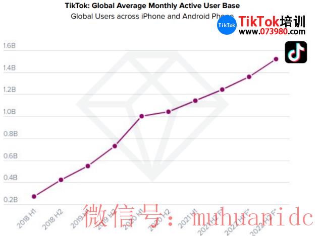 tiktok账号购买平台