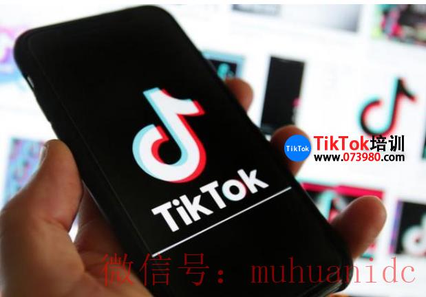 tiktok账号购买平台