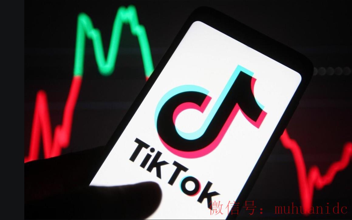 tiktok账号购买平台