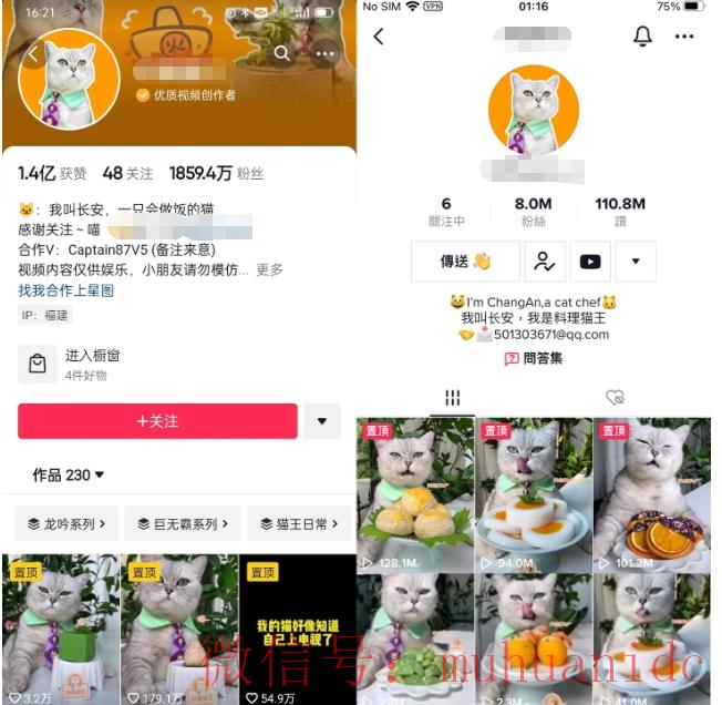 tiktok账号购买平台