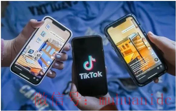tiktok账号购买平台