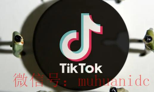 tiktok账号购买平台