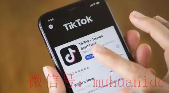 tiktok账号购买平台