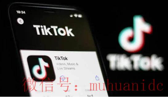 TikTok账号购买平台