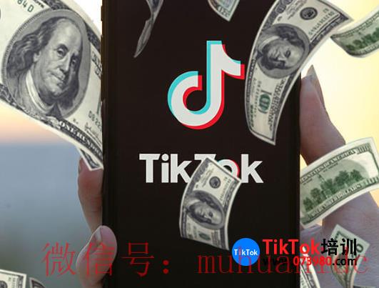 tiktok账号购买平台