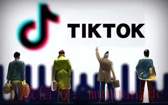 tiktok账号购买平台