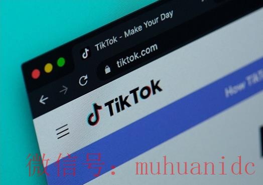 tiktok账号购买平台