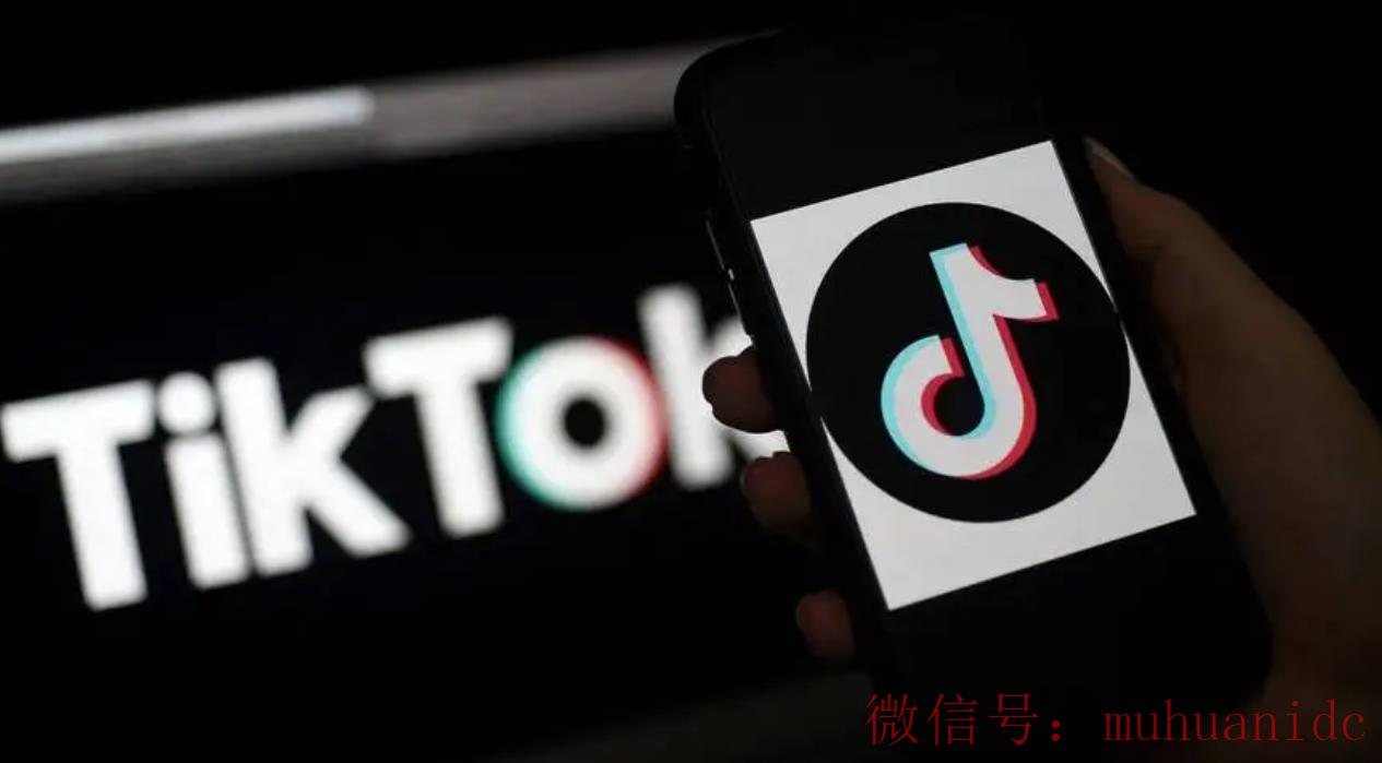 tiktok账号购买平台