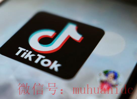 tiktok账号购买平台