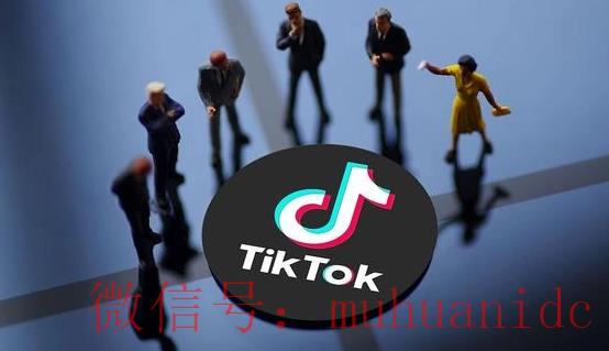 tiktok账号购买平台