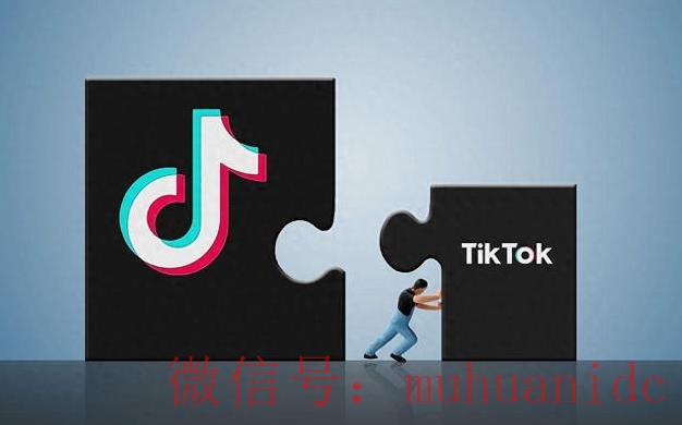tiktok账号购买平台