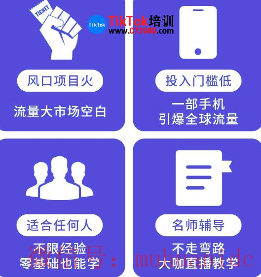tiktok账号购买平台