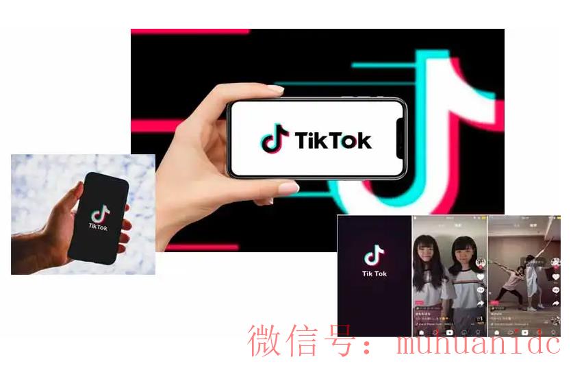 tiktok账号购买平台
