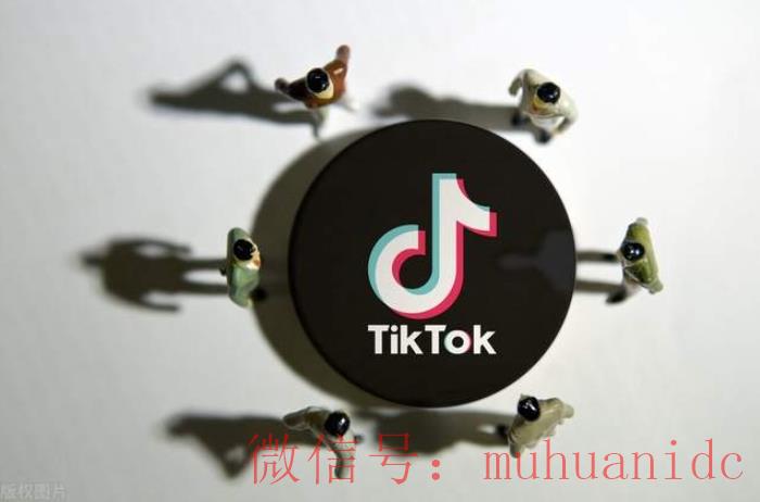 tiktok账号购买平台