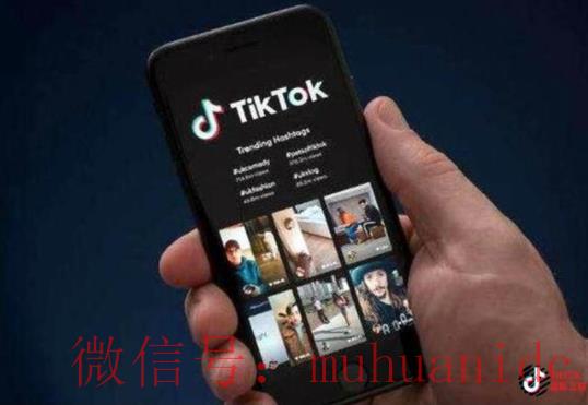 tiktok账号购买平台