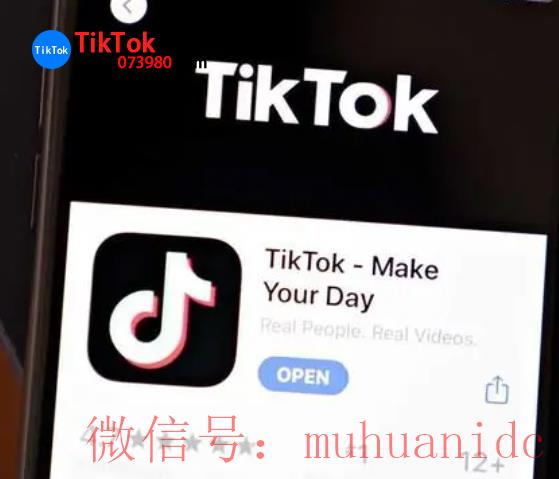 tiktok账号购买平台