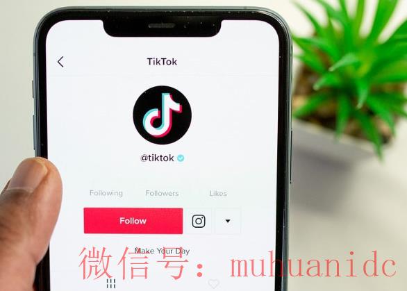 tiktok账号购买平台