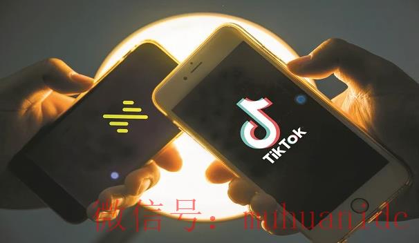 tiktok账号购买平台